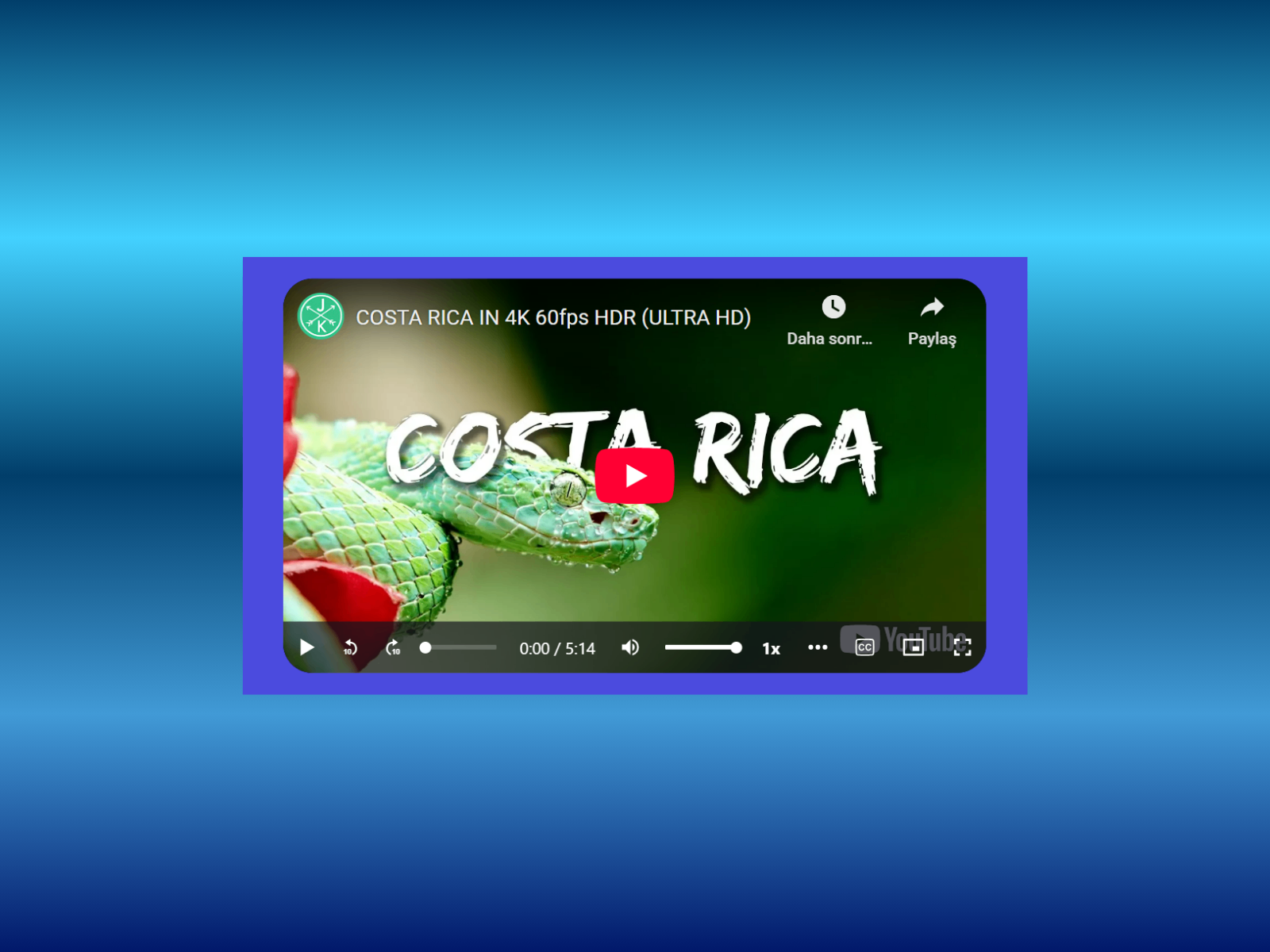 CAA Video Player preview