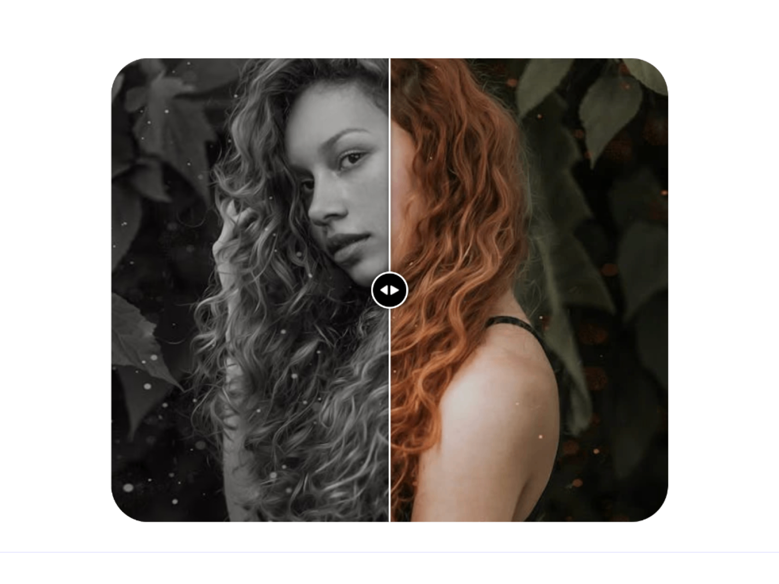 Comparison Slider preview
