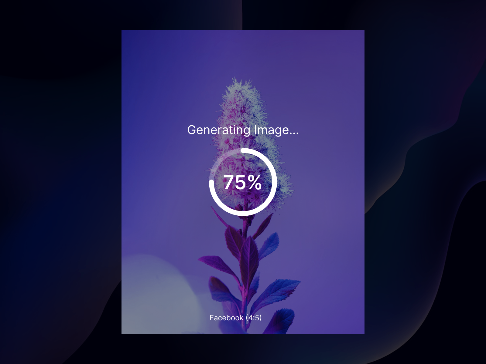 Image Loader preview