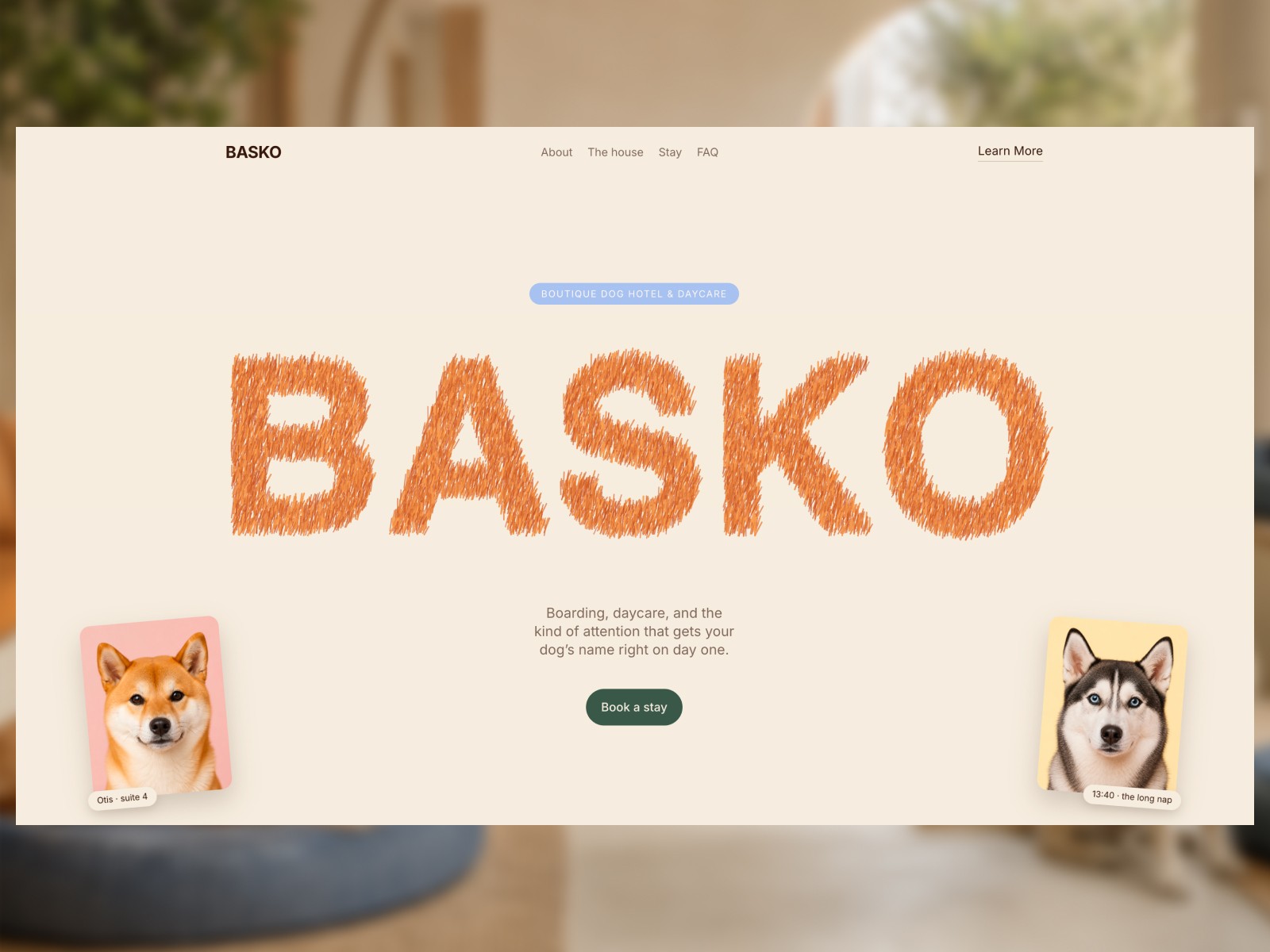 Basko — Free Landing Page Website Template by DariStudio — Free Agency Template for Framer by DariStudio preview