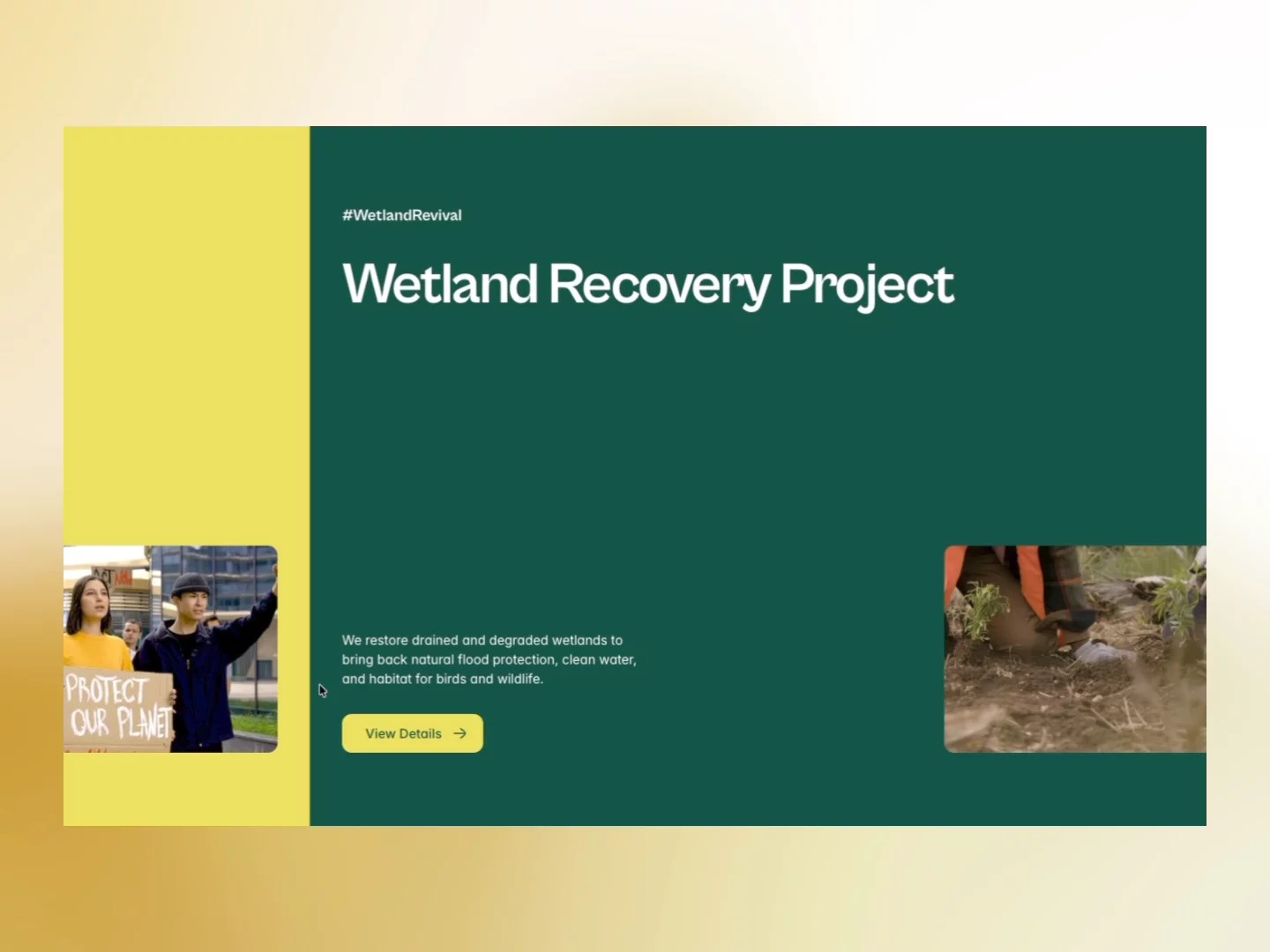 Greeny: Free Non-profit Website Template by DiverseKit — Free Nonprofit Framer Template preview