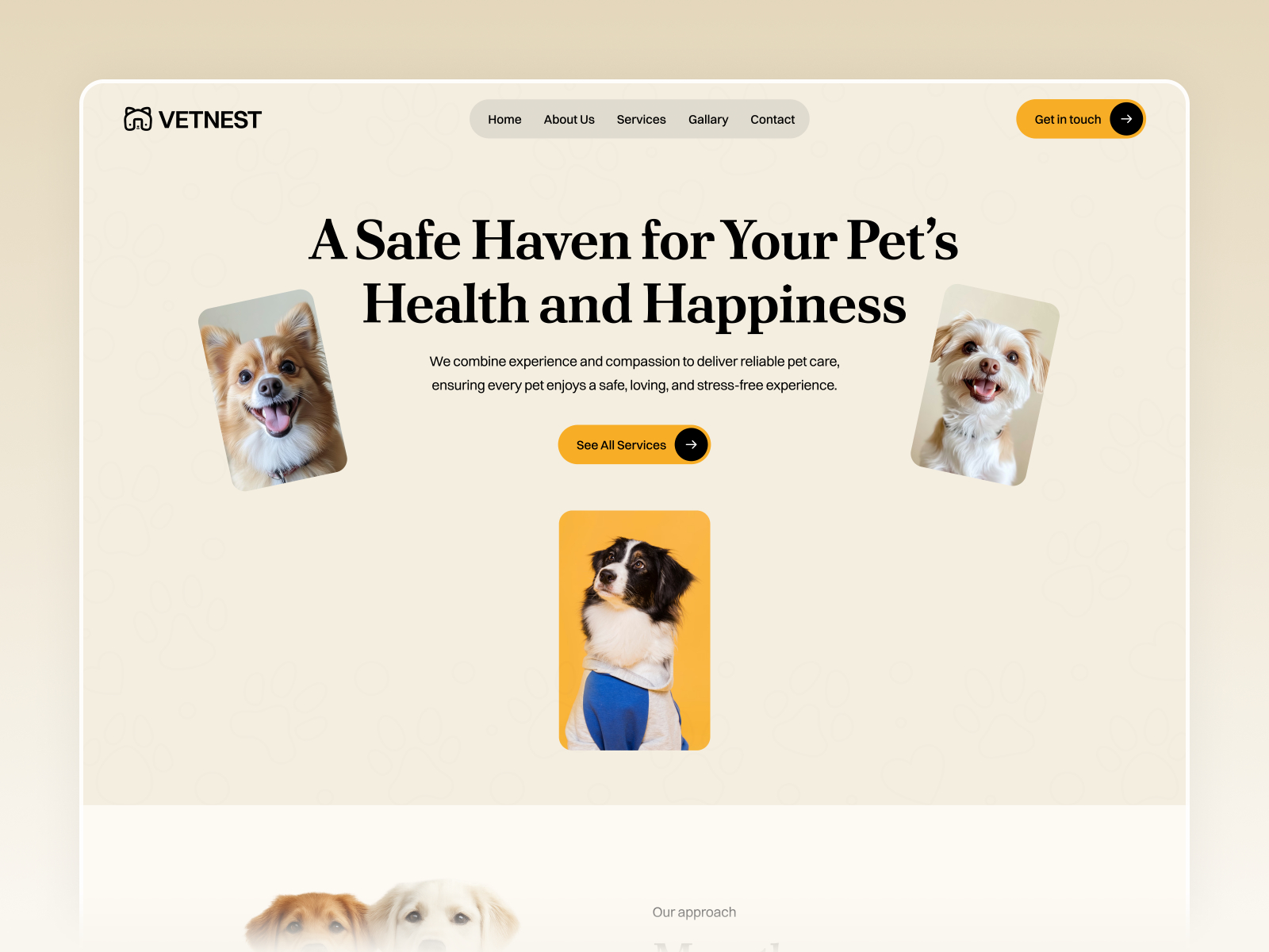 Isabela: Free Non-profit Website Template by Rand Std — Free Events Framer Template preview
