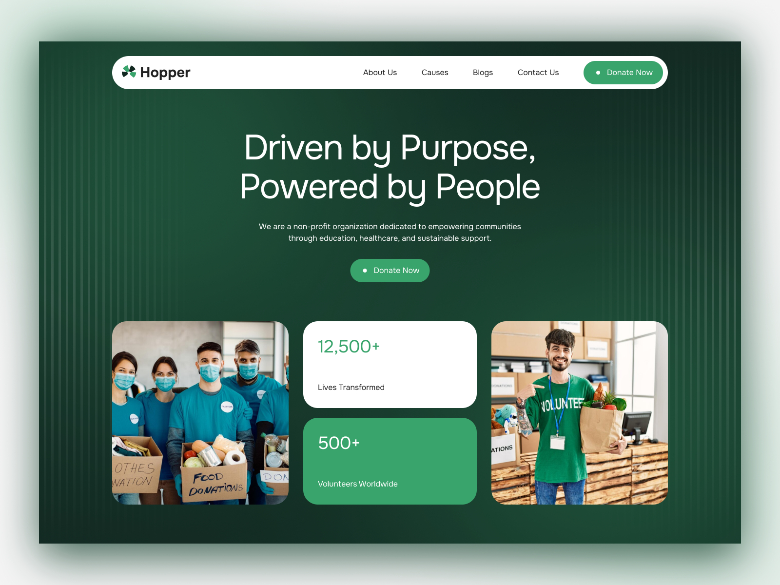 NDISCare: Responsive Health Website Template by XpressBuddy — Free Healthcare Framer Template preview
