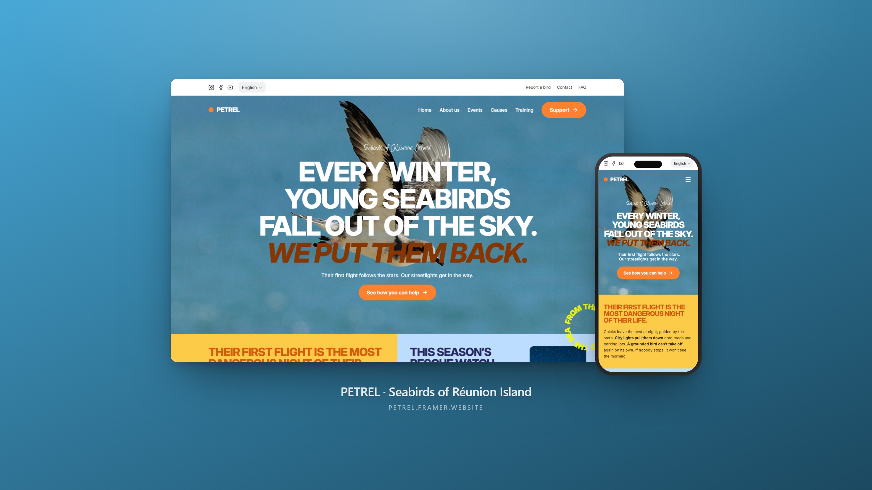 Petrel — Free Non-profit Website Template by Kim Gagneur — Free Landing Page Template for Framer by Kim preview