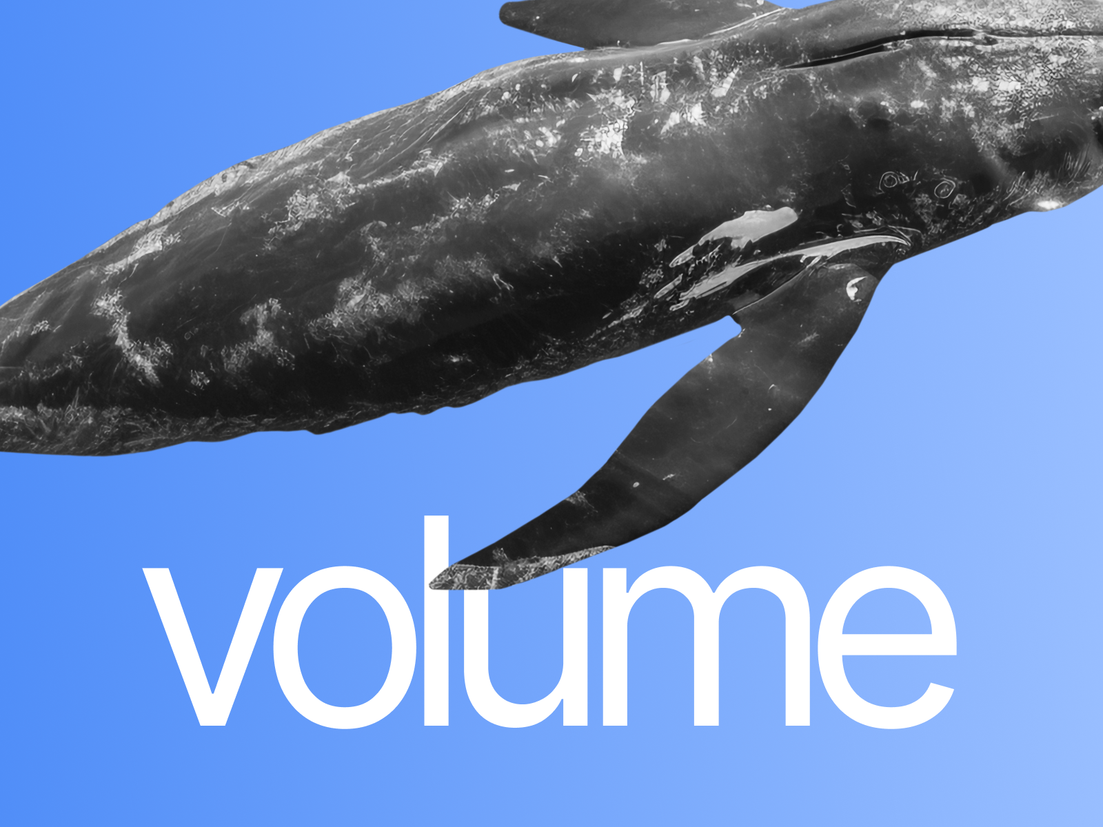 VOLUM — Free Architecture Framer Template preview