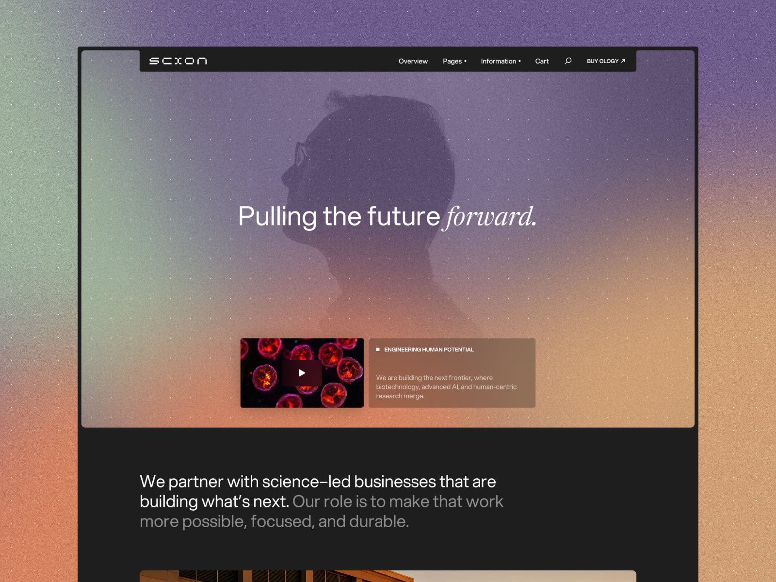 Yonder Tourism: Free Consulting Website Template by Medium Rare — Free Agency Framer Template preview